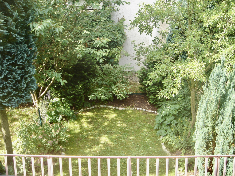 Main photo