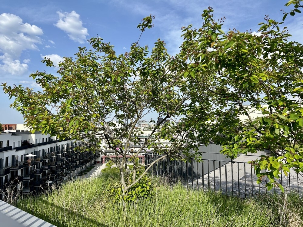 Main photo