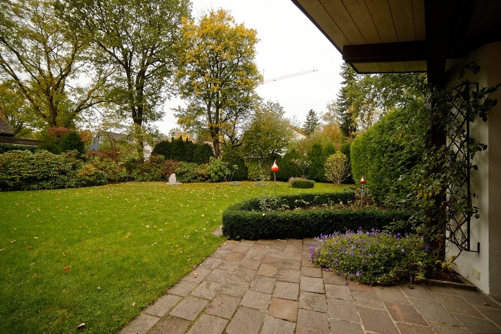 Main photo