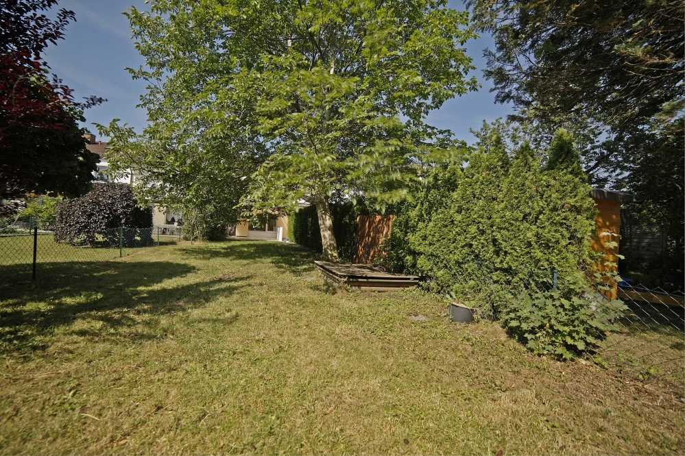 Main photo