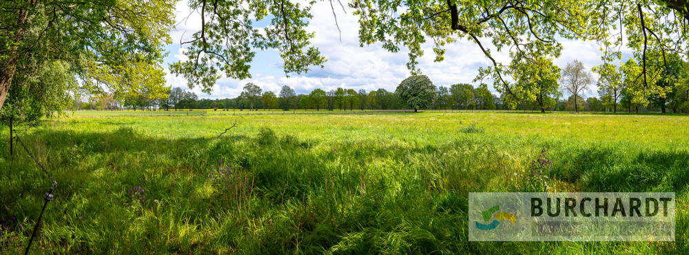 wunderbare Naturlage