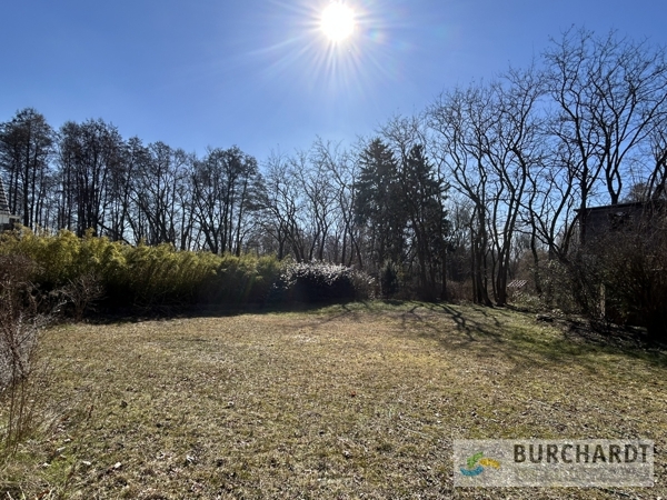 Immobilienangebot 3 Grundstück