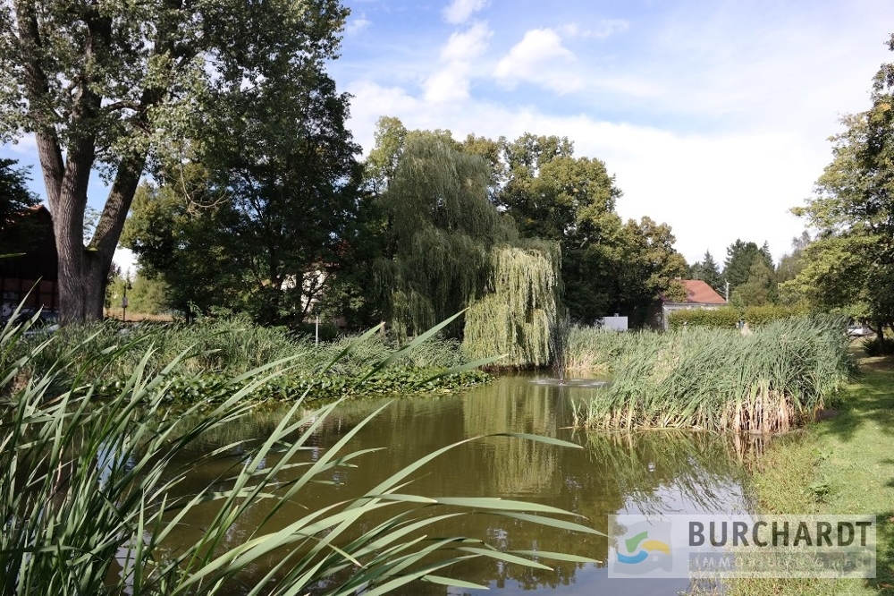 Immobilien Details 5 Dorfanger Glienicke