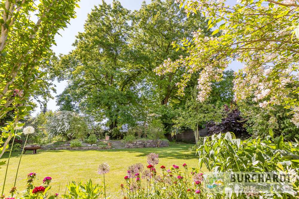 Immobilien Details 14 der wundervolle Garten
