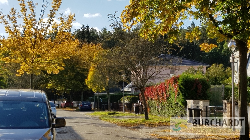 Immobilien Details 9 ruhige Anliegerstrasse2