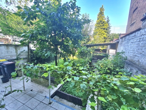 Garten / Terrasse