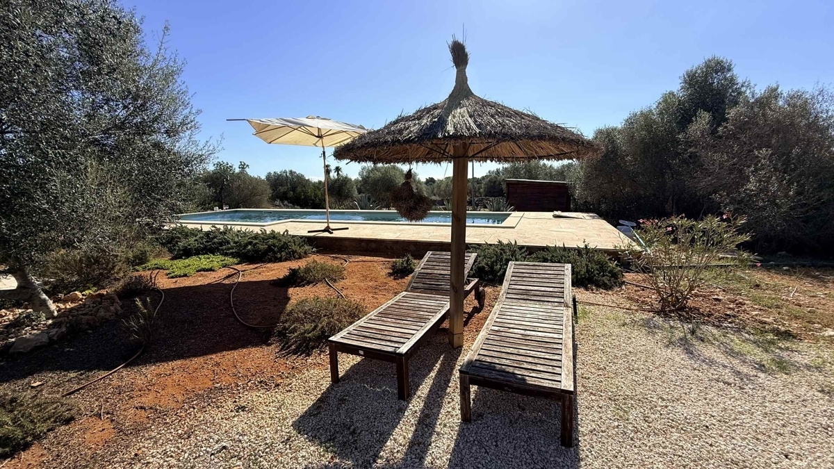 Blick zum Pool