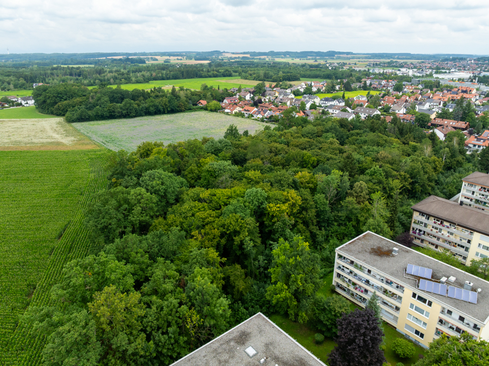 Umgebung