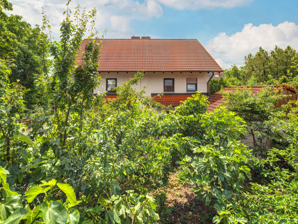 WHG 2 l Ausblick