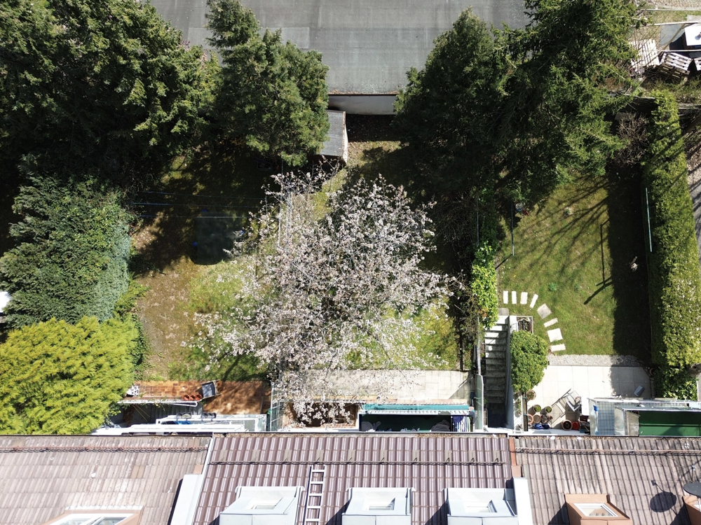 Luftaufnahme I Haus und Gartenansicht