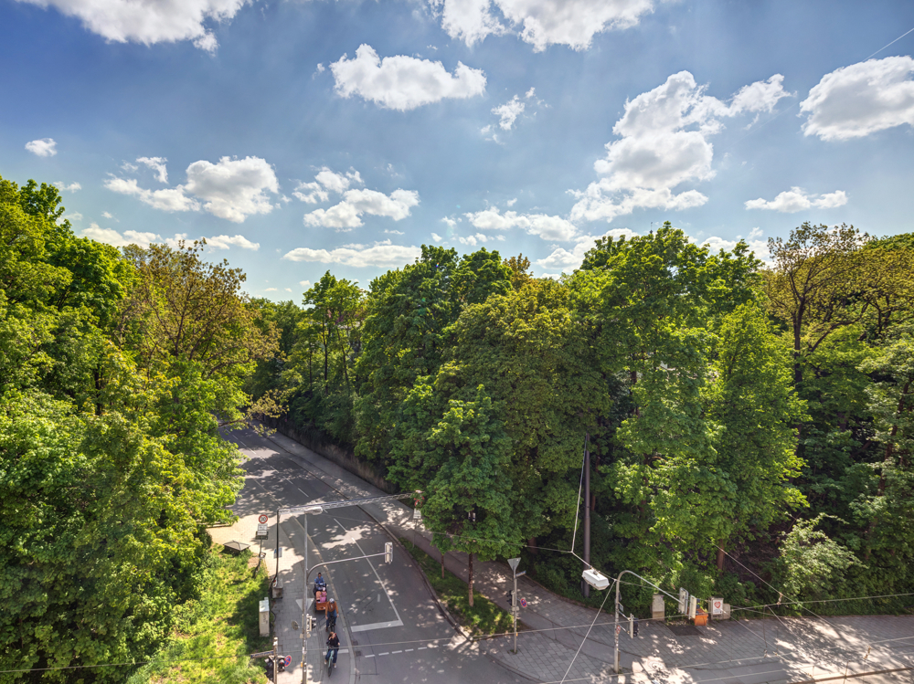 Ausblick l Umgebung l Sommer