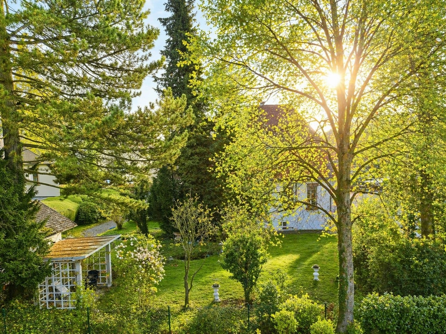 West-Balkon l südlicher Blick l KI retuschiert