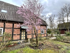 Eingang Einliegerwohnung Haupthaus