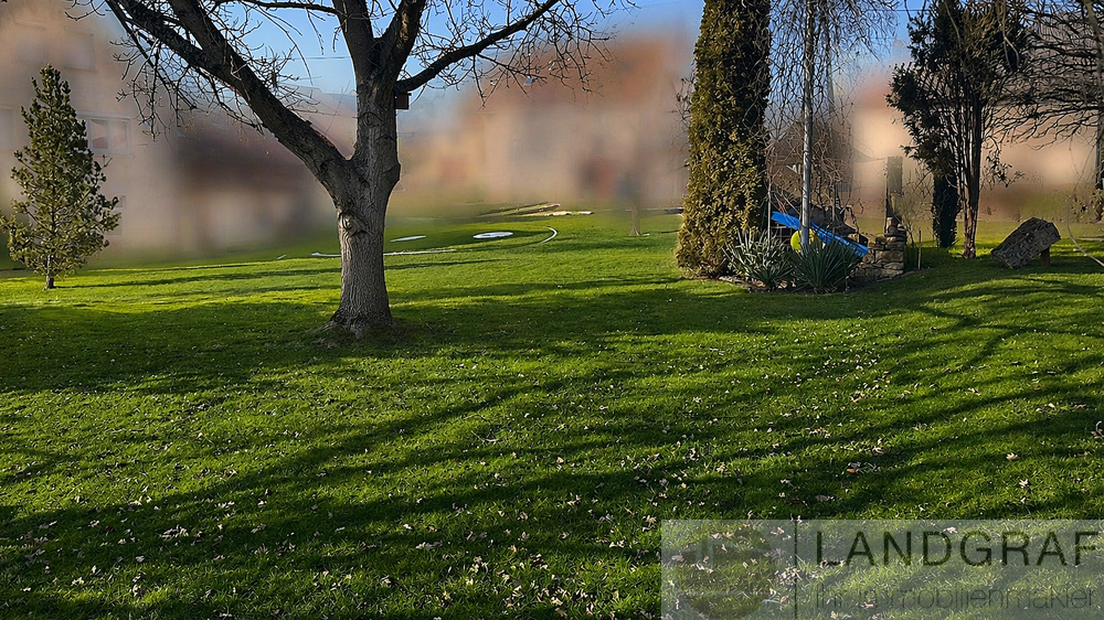 Real Estate Title Image Background