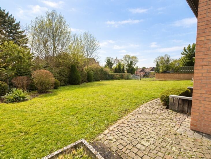 Blick in den Garten