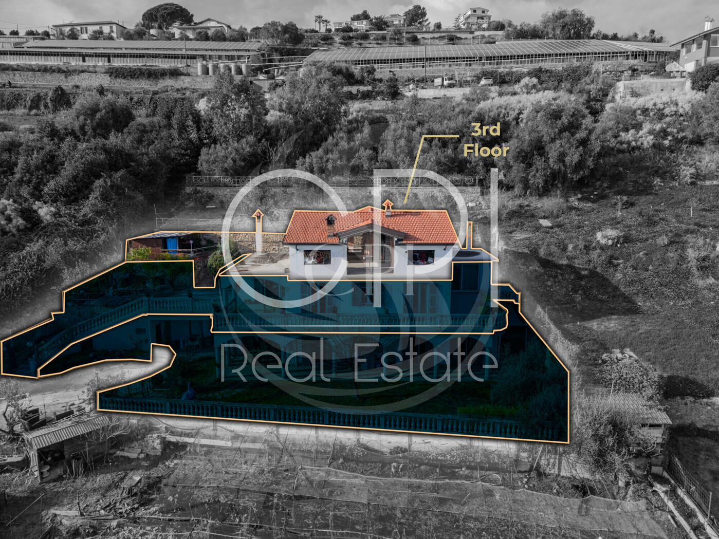 1a03ef8e-b616-4a92-b35e-8398edf9934a