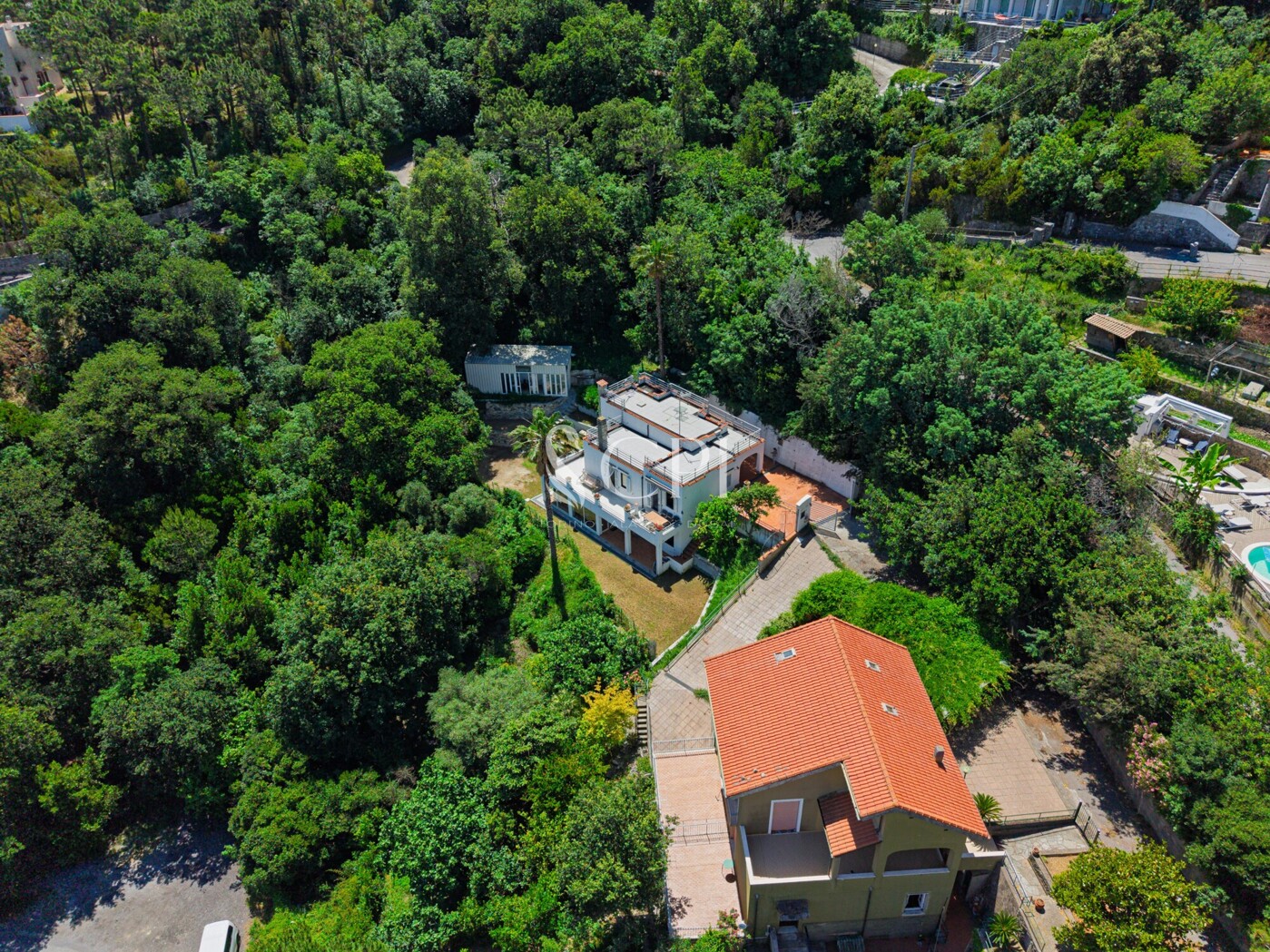 DJI_20260603122131_0020_D