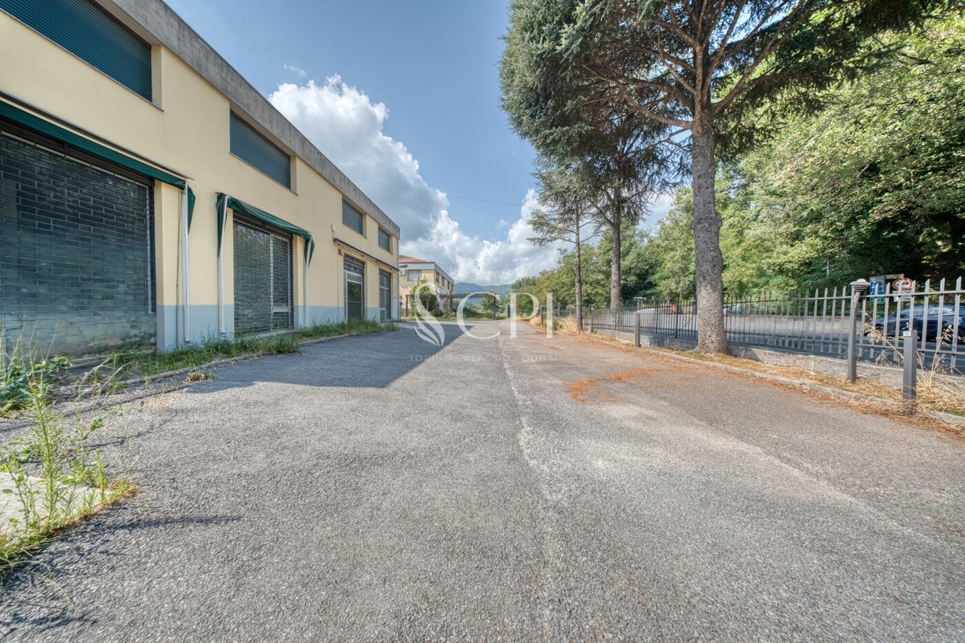DSC05001_hdr