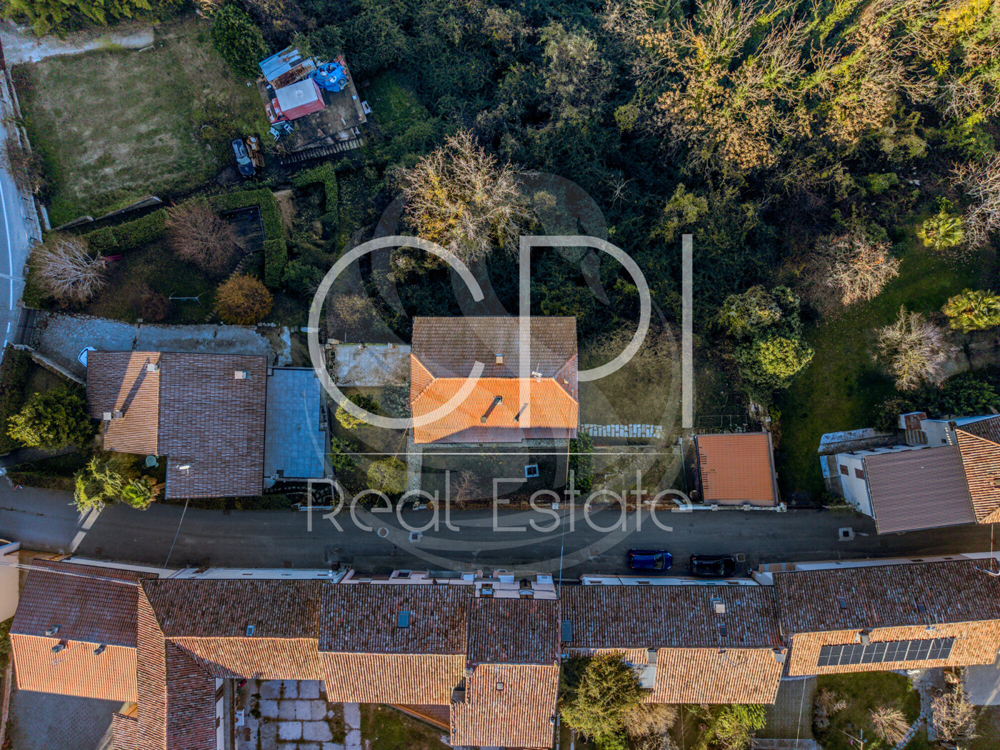 DJI_20251127135154_0009_D