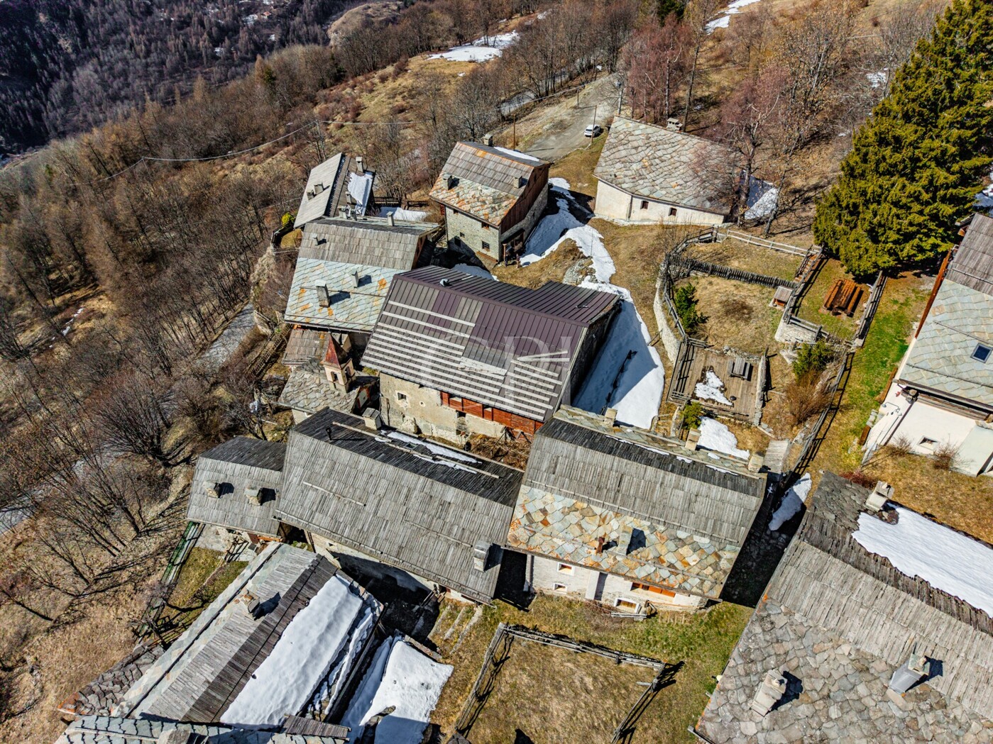 DJI_20260320115120_0007_D