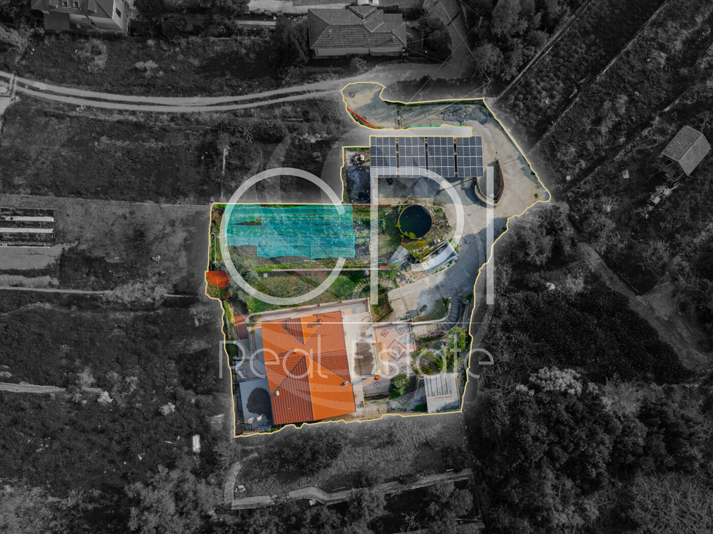 DJI_20260121144300_0055_D-HDR_4