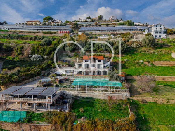 DJI_20260121144517_0070_D-HDR