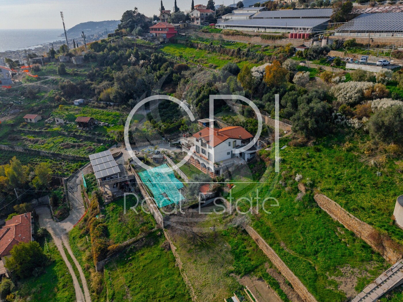 DJI_20260121144111_0040_D-HDR