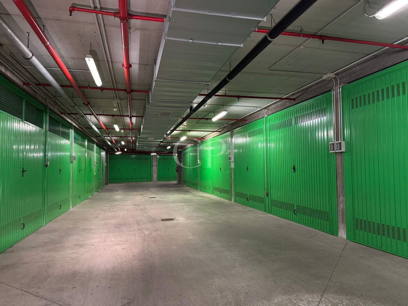 WhatsApp Image 2026-02-10 at 16.02.19