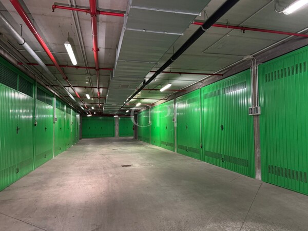 WhatsApp Image 2026-02-10 at 16.02.19