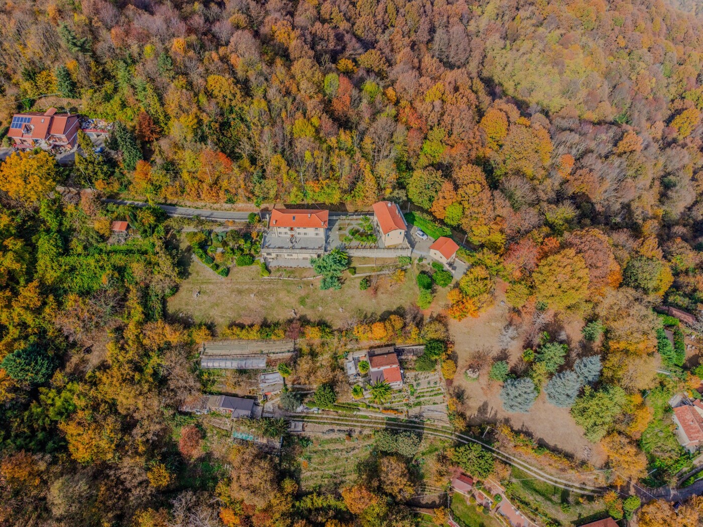 DJI_20251106114126_0042_D-HDR
