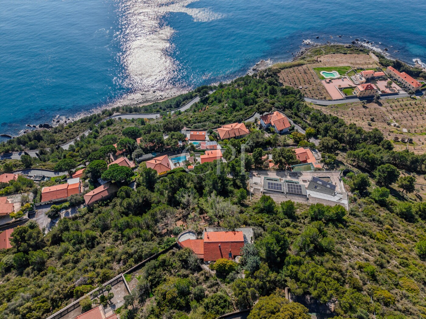 DJI_20260313101149_0021_D-HDR