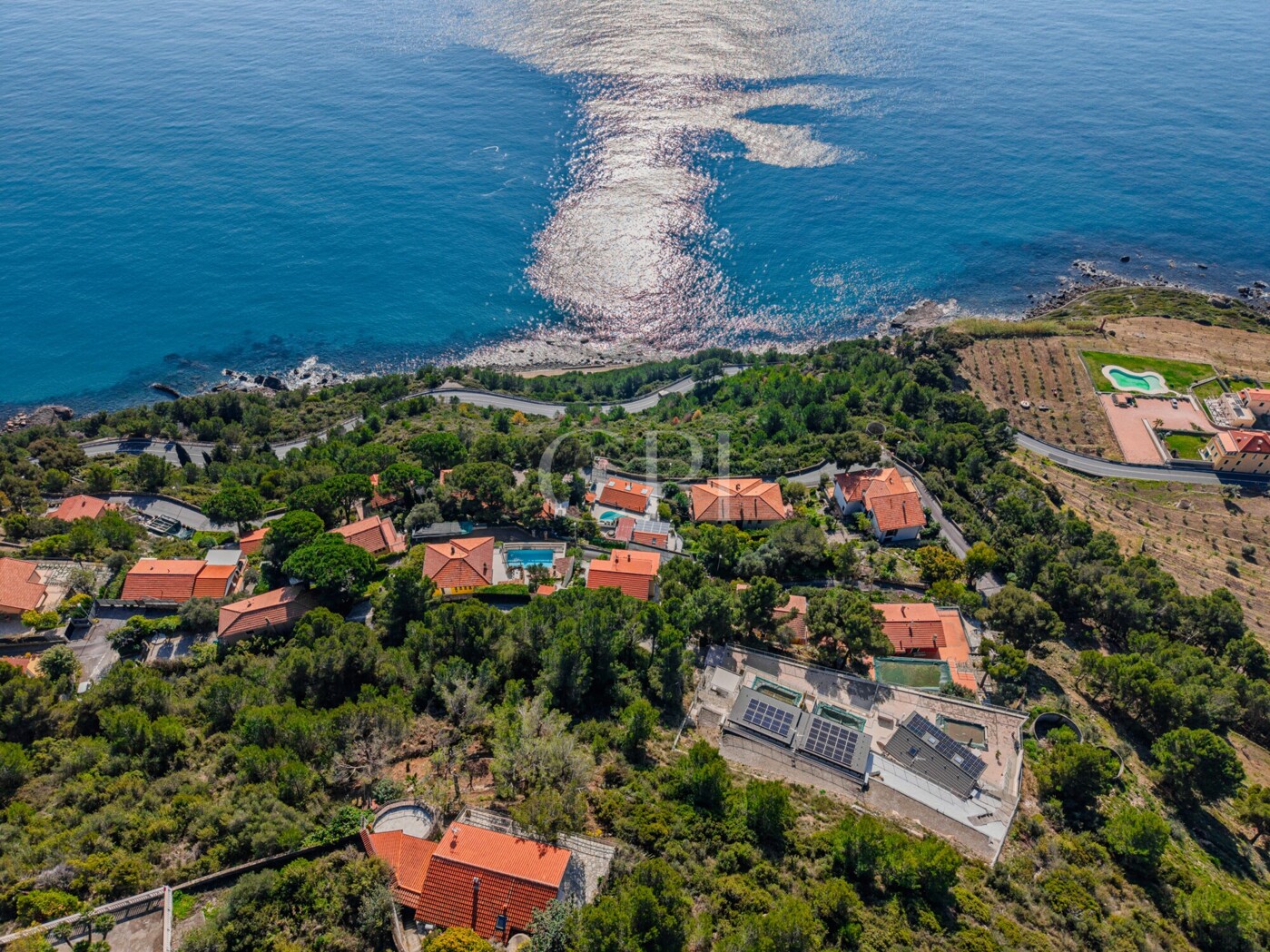 DJI_20260313101211_0026_D-HDR