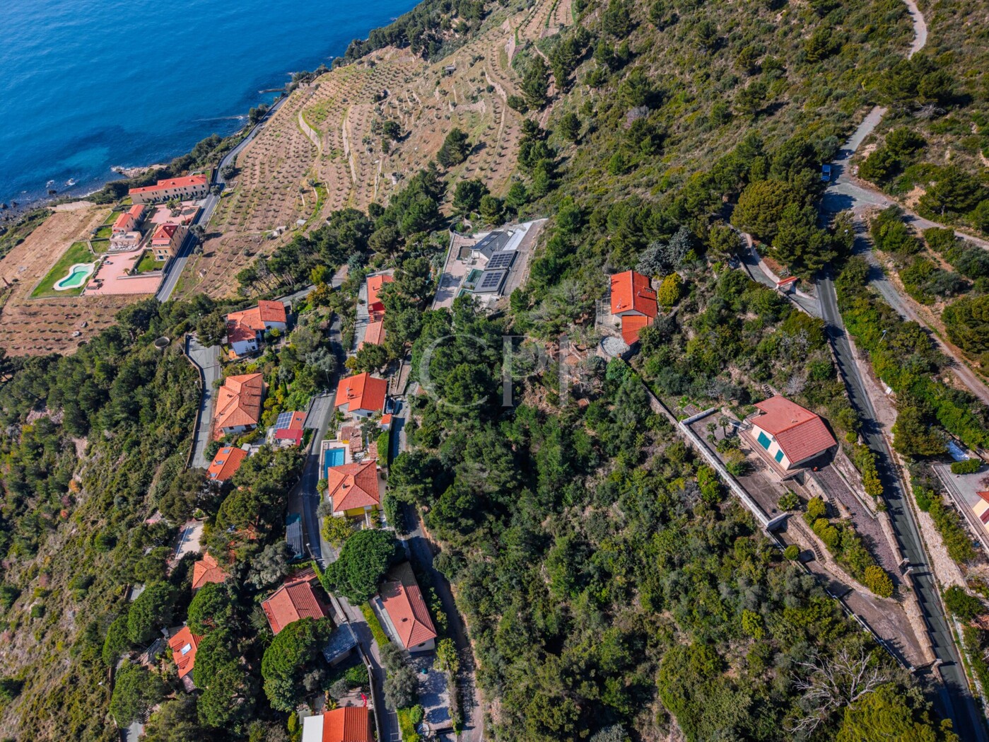 DJI_20260313101120_0016_D-HDR