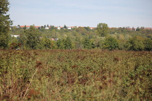 Baugrundstück in Frankfurt Bergen-Enkheim