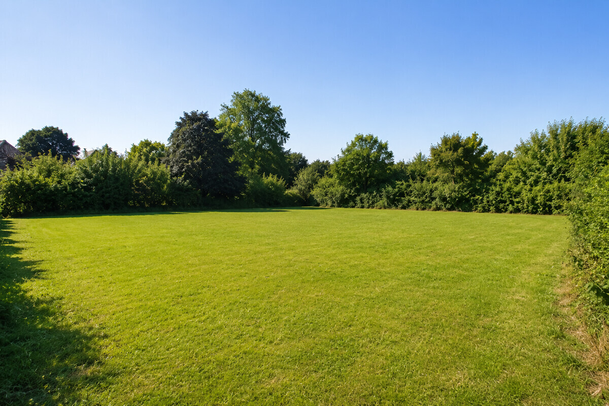 Real Estate Title Image Background