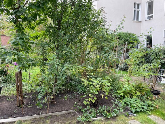 Der Garten