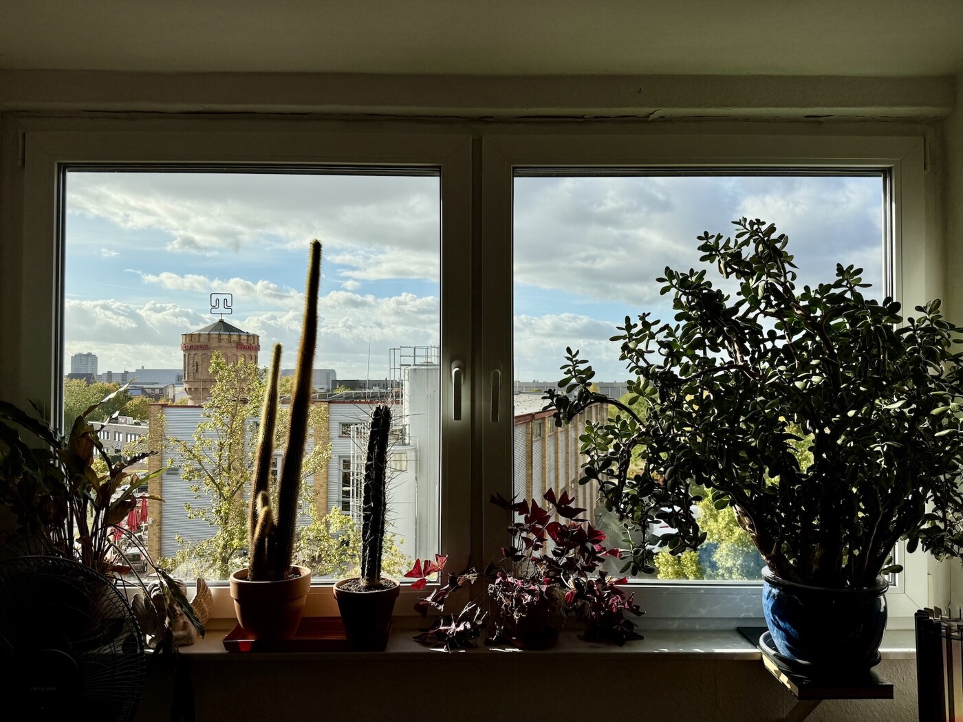 Der Ausblick