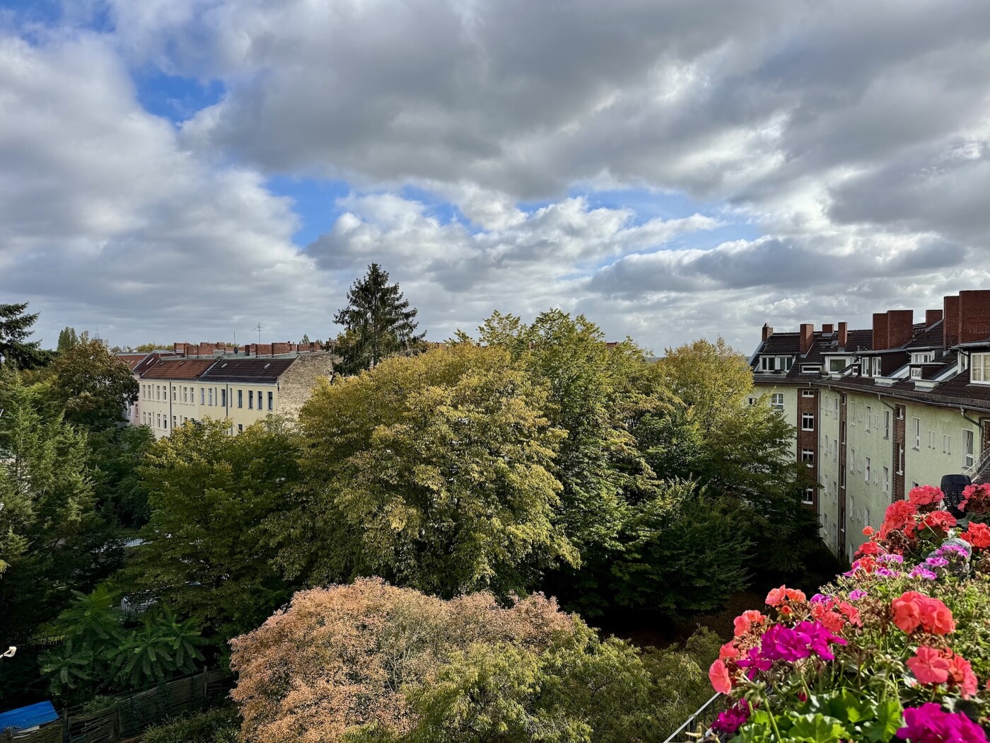 Der Ausblick