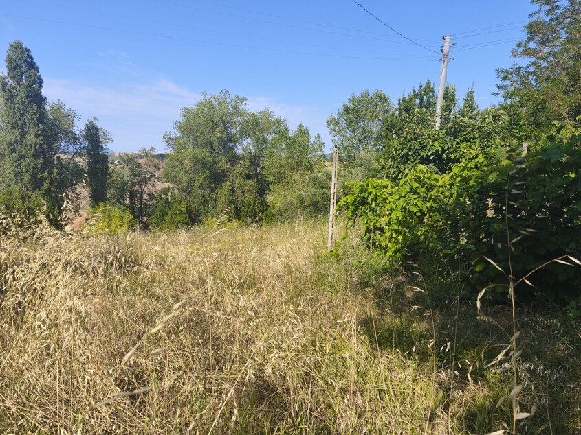 Terreno