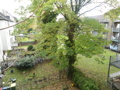 Ausblick Balkon