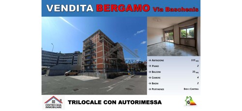 V_bergamo baschenis_vetrina - Copia