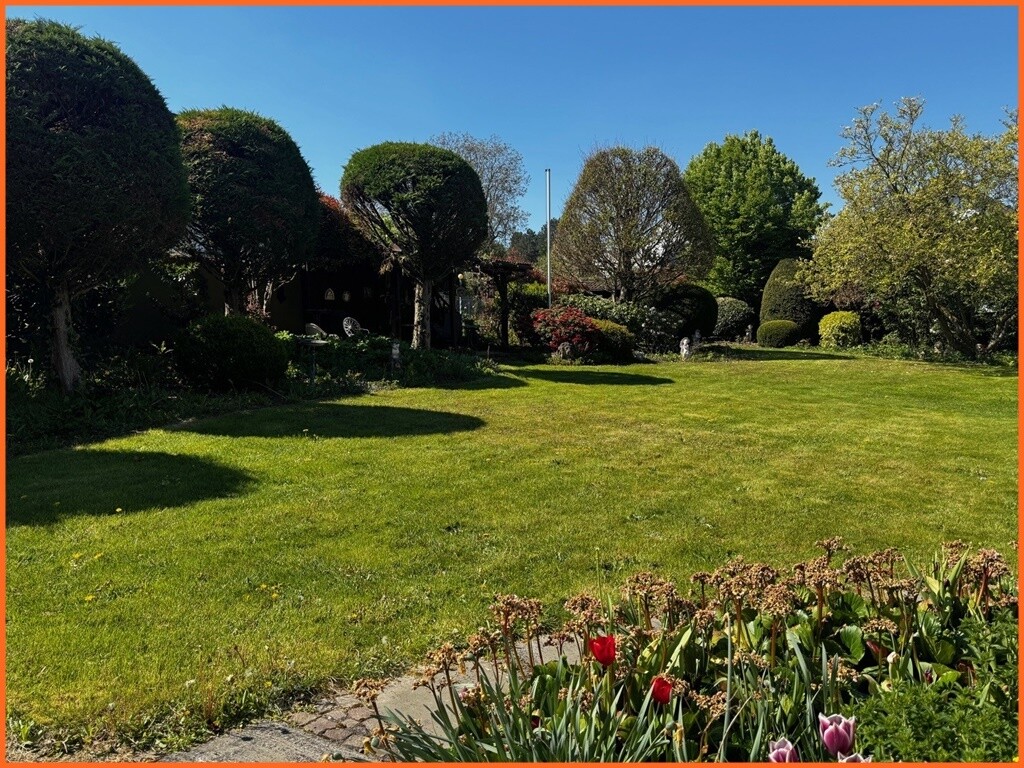 Garten 1