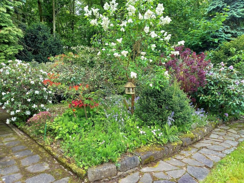 Blumenpracht