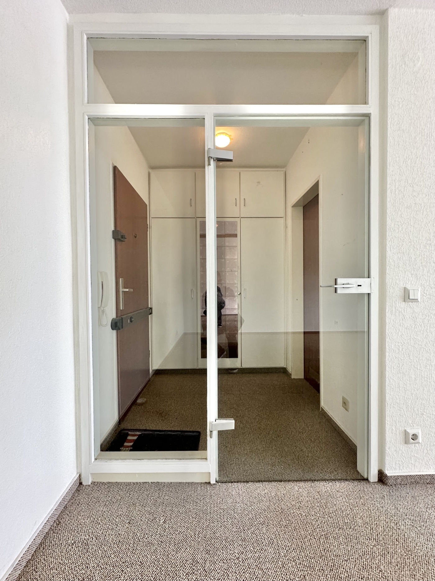 Moderne Glastür