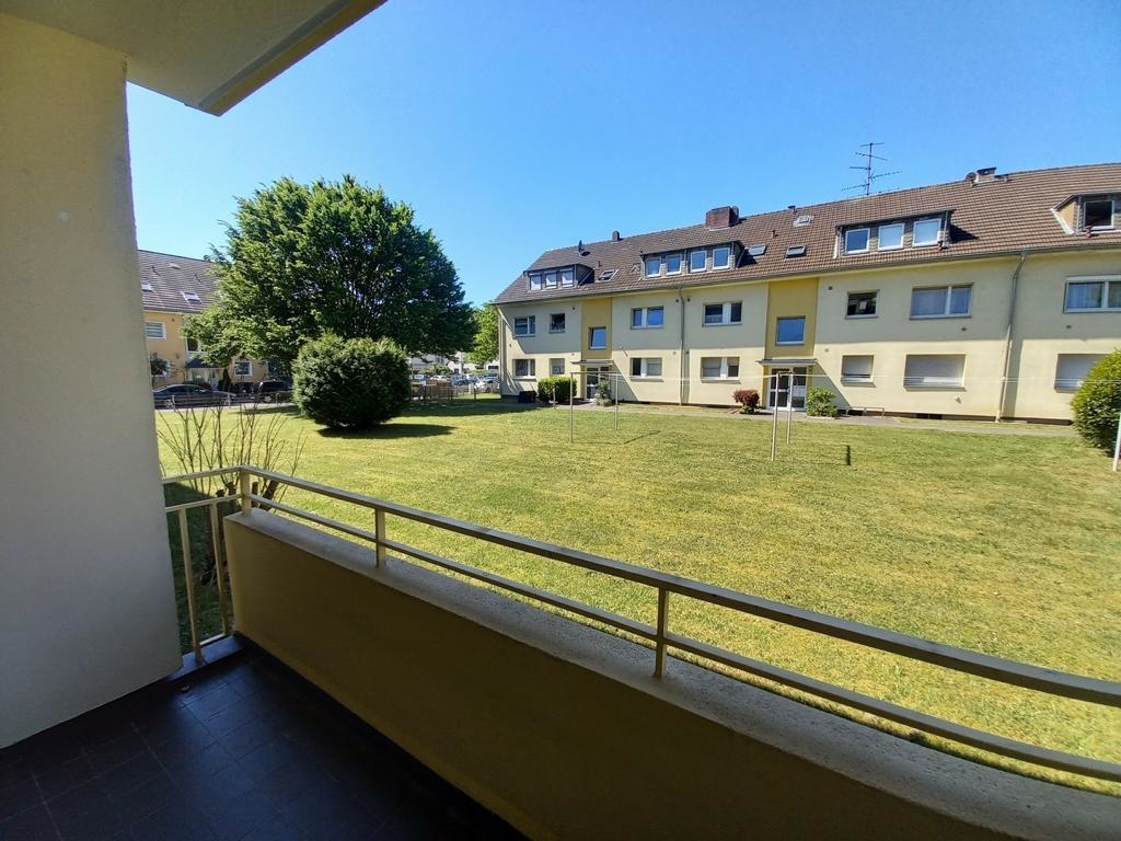 Aussicht Balkon in den Gemeinschaftsgarten