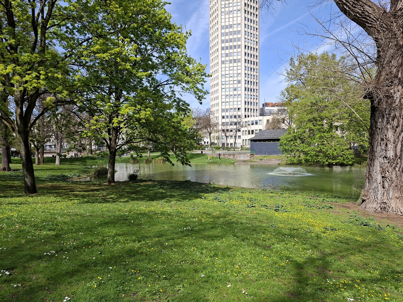 Park am Ebertplatz