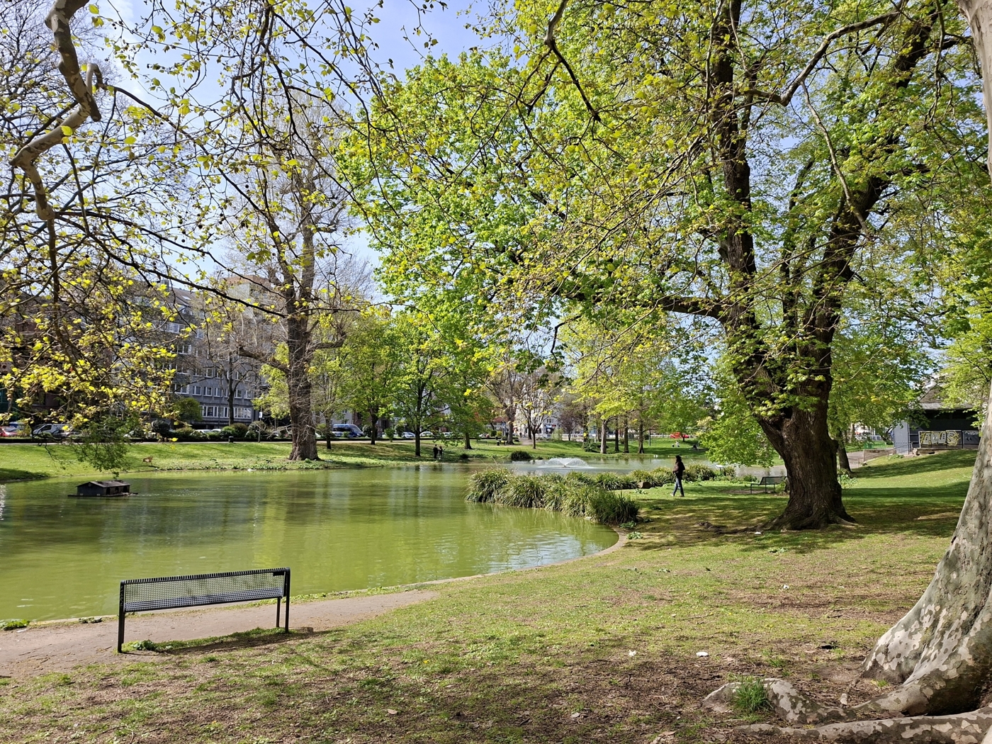Park am Ebertplatz