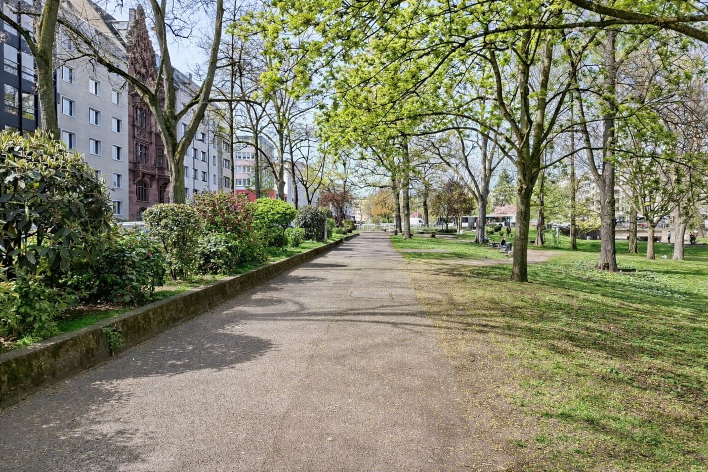 Direkt gegenüber Baumgesäumter Weg im Park