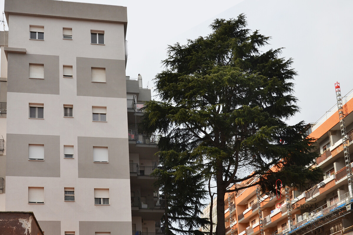 Facciata palazzina