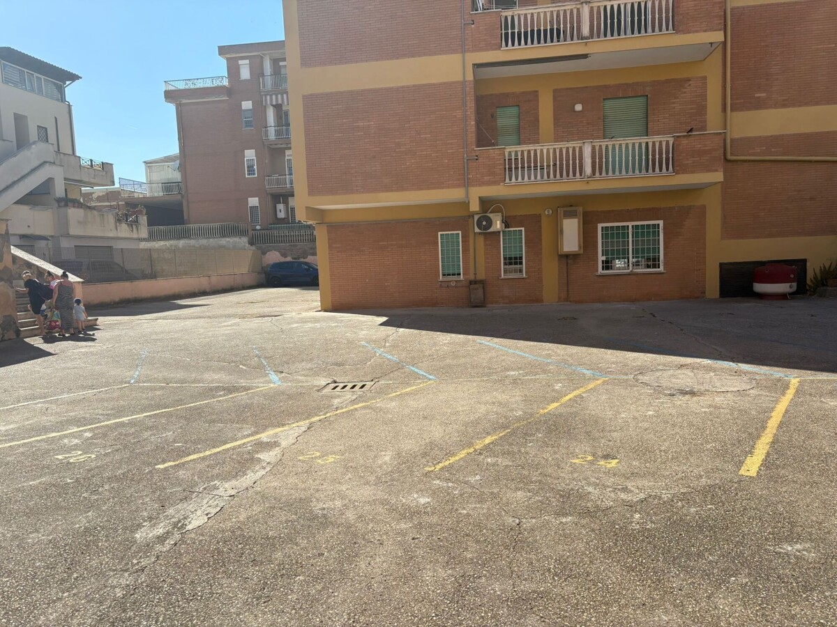 0055993-WhatsApp_Image_2026-06-09_at_19.jpeg